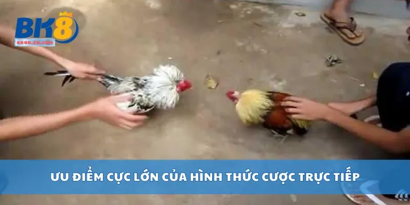 Ưu điểm cực lớn của hình thức cược trực tiếp